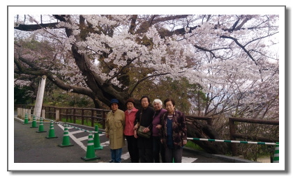 デイサービス赤とんぼ,介護施設,デイサービス